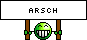 Arsch Arsch