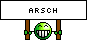 Arsch