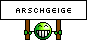 Arschgeige