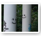 Wildlife Smileys sprayed