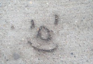 Wildlife Smiley in Beton